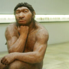 Descubren los huesos del primer gay de las cavernas