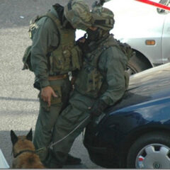 La vida sexual entre los militares