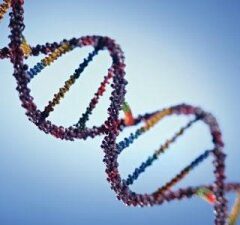 ¿Pueden tus genes explicar tu orientación sexual?