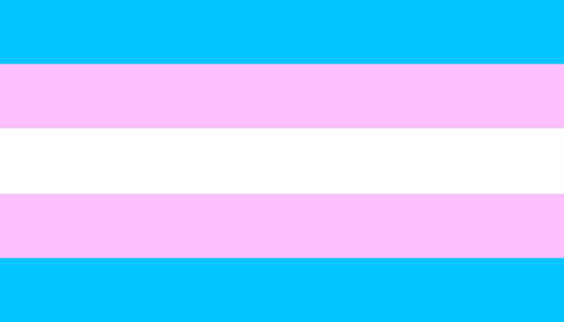 trans-pride-flag
