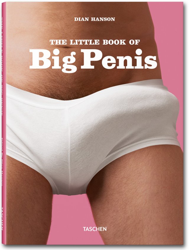 cover_pi_little_book_of_big_penis_1308221416_id_501869