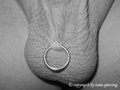 101215 QUÉ TIPO DE PIERCING EN EL PENE PUEDES HACERTE.FOTO 5