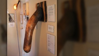 171215 EL MUSEO DEL PENE EN ISLANDIA.FOTO 3