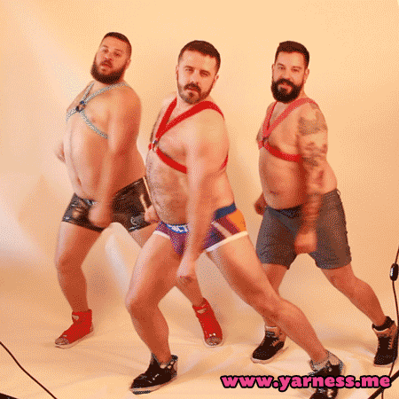 bear gay dancing