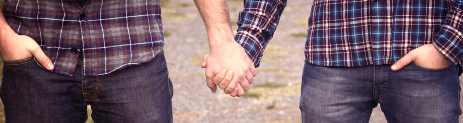 Los gais sin plumas son más homófobos